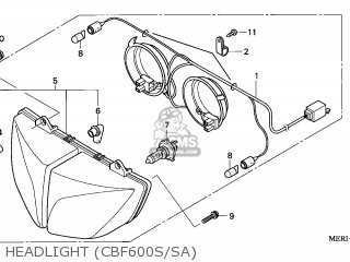 Bulb, Position (12 photo