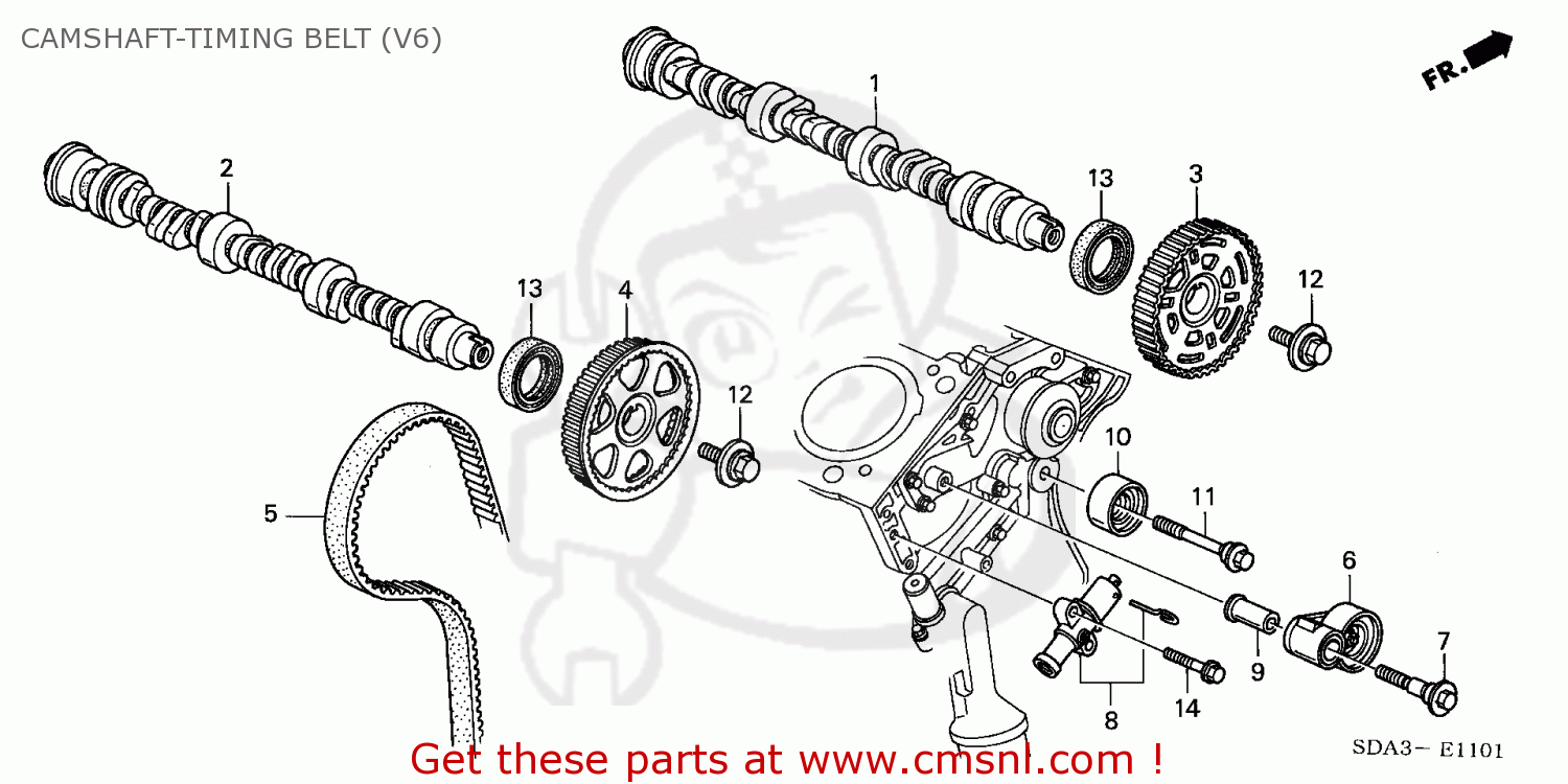 2005 honda outlet accord timing belt