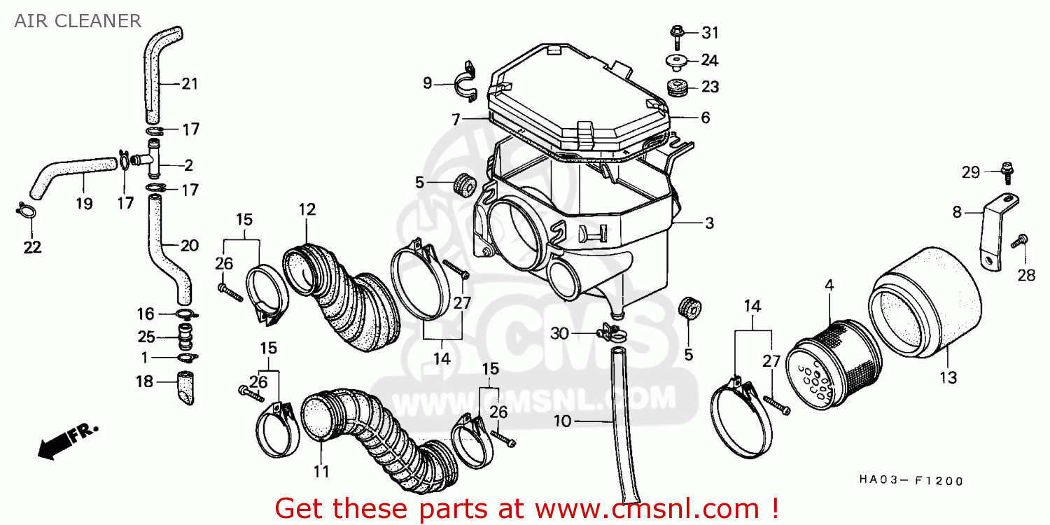 85-87 HONDA ATC 250ES BIG RED OIL FILTER W/ FREE Spark Plug NGK DR8ES-L FAST S E