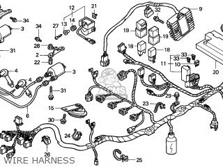 Honda CB1100SF X11 2000 (Y) EUROPEAN DIRECT SALES parts lists and ...