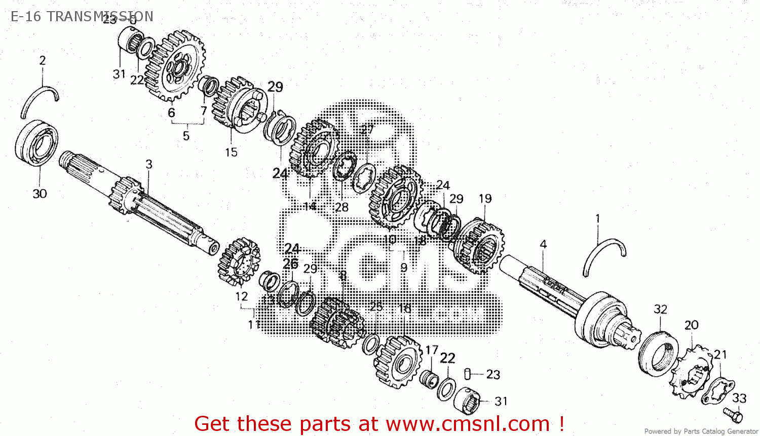 1981 intelligence overview