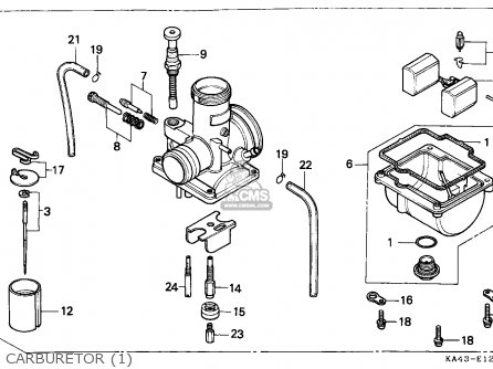 Honda CR250R ELSINORE 1984 (E) AUSTRALIA parts lists and schematics