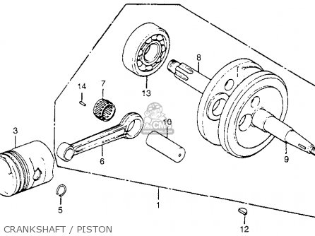 Honda CT70 TRAIL 70 1981 (B) USA parts lists and schematics