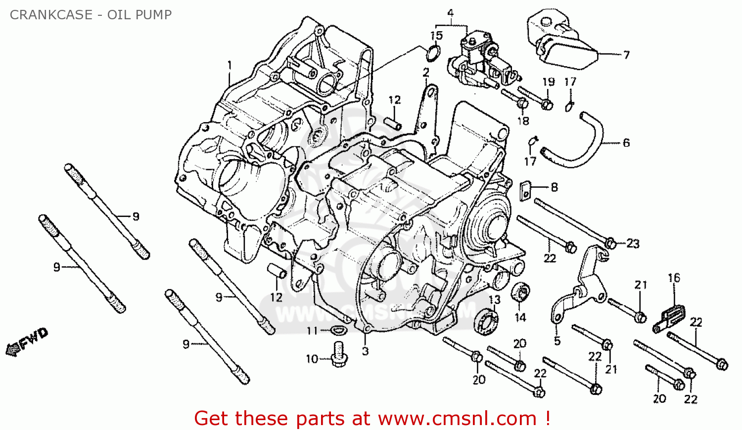 CRANKCASE - OIL PUMP MT50S 1984 (E) ENGLAND