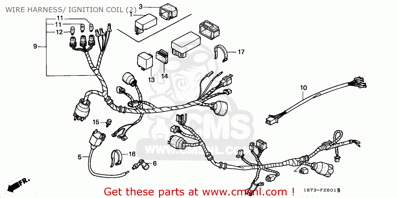 Honda MT50S 1990 (L) NETHERLANDS WIRE HARNESS/ IGNITION COIL (2) - buy