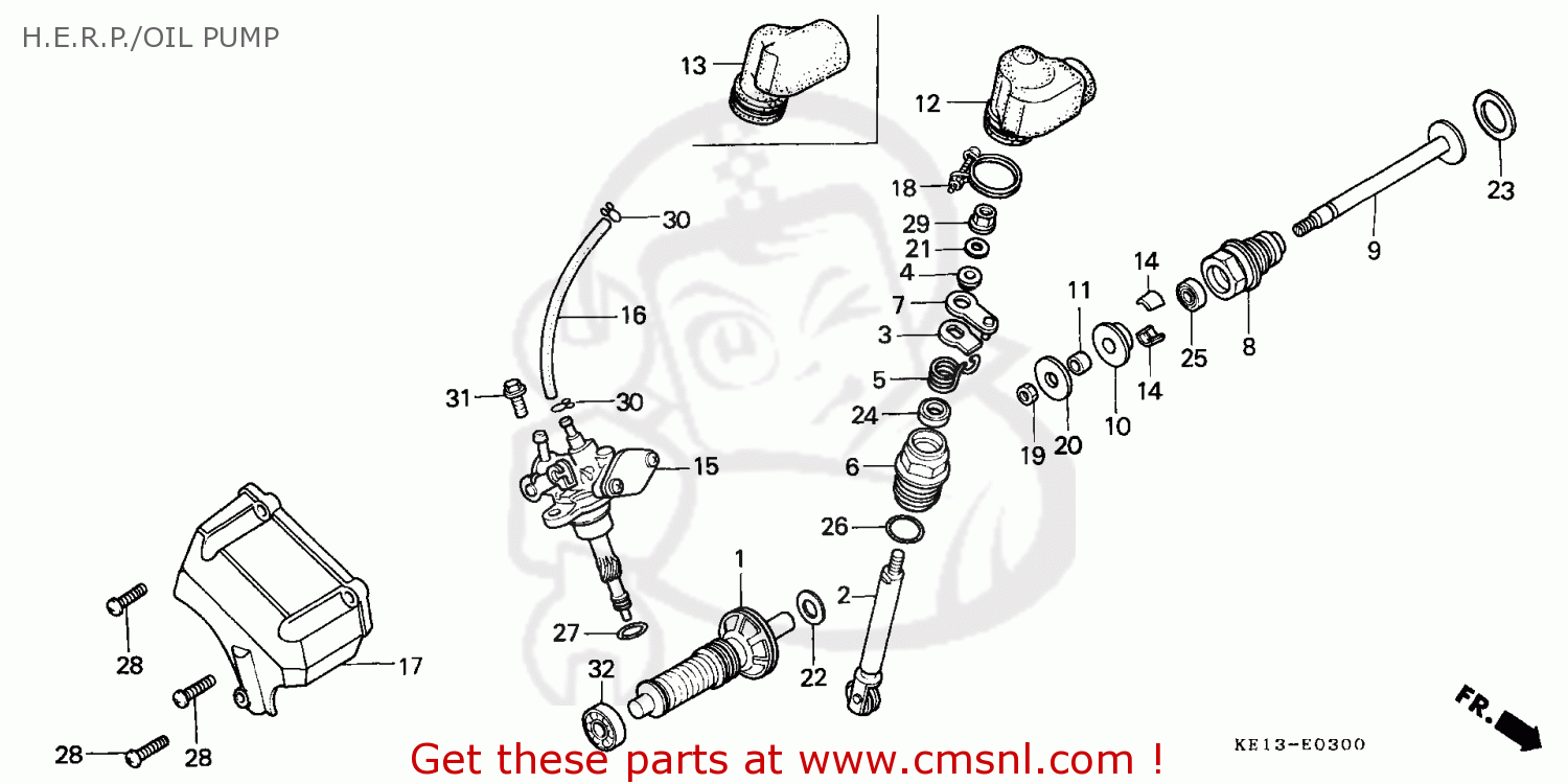 Honda Mtx200rw 1983 (d) England H.e.r.p. Oil Pump - Buy H.e.r.p. Oil 