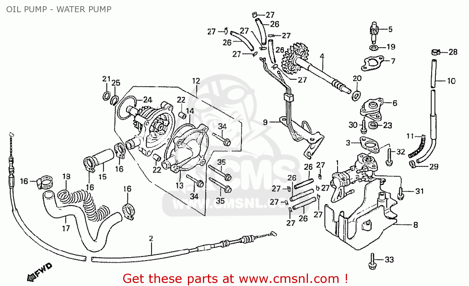 OIL PUMP - WATER PUMP NS400R 1985 (F) GERMANY