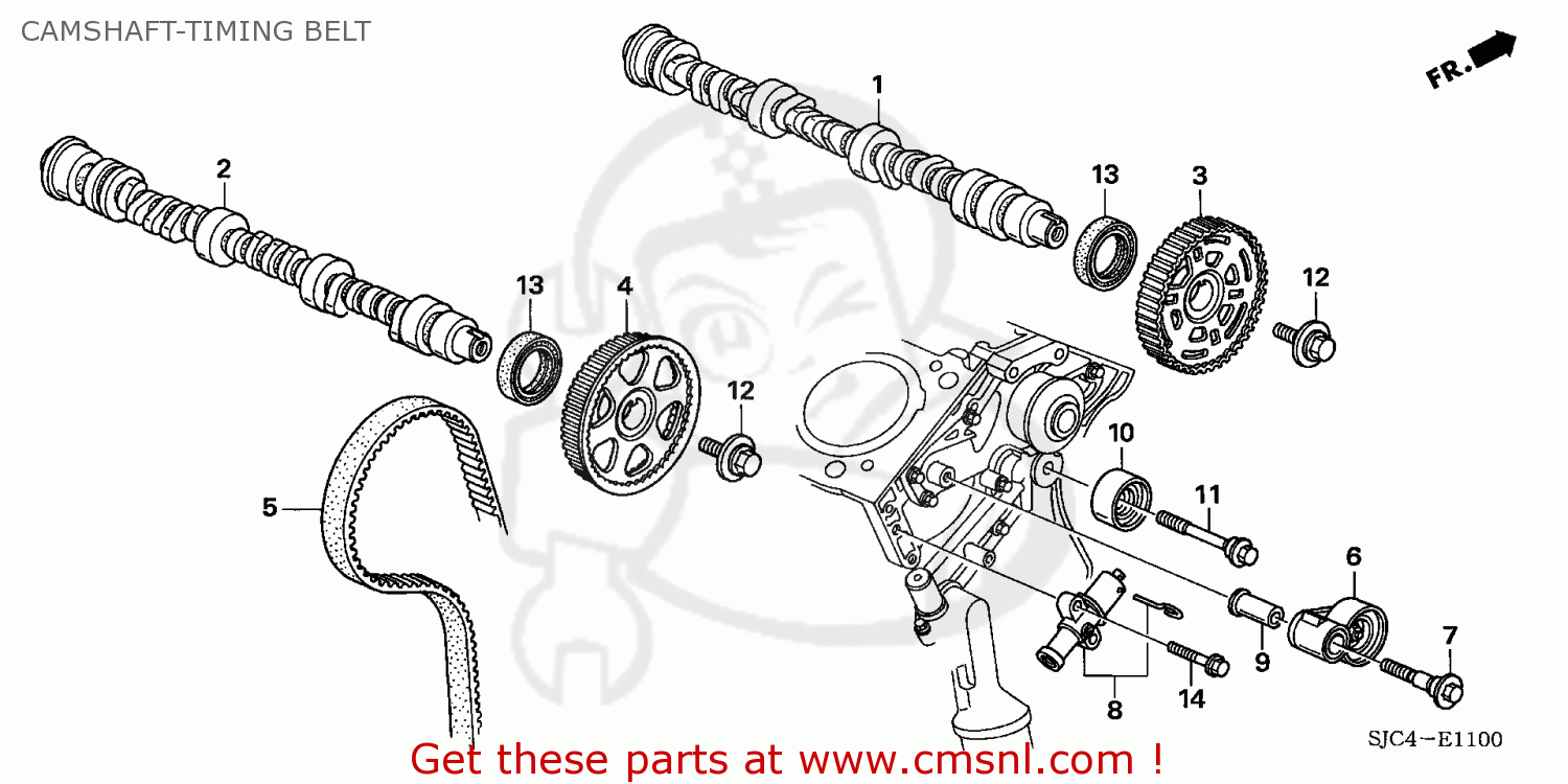 Honda Ridgeline 2006 6 4dr Rtl Ka Camshaft Timing Belt Buy Camshaft Timing Belt Spares Online