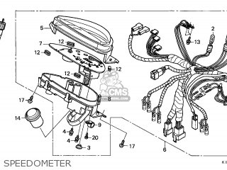 Honda SH100 SCOOPY 1996 (T) SPAIN parts lists and schematics