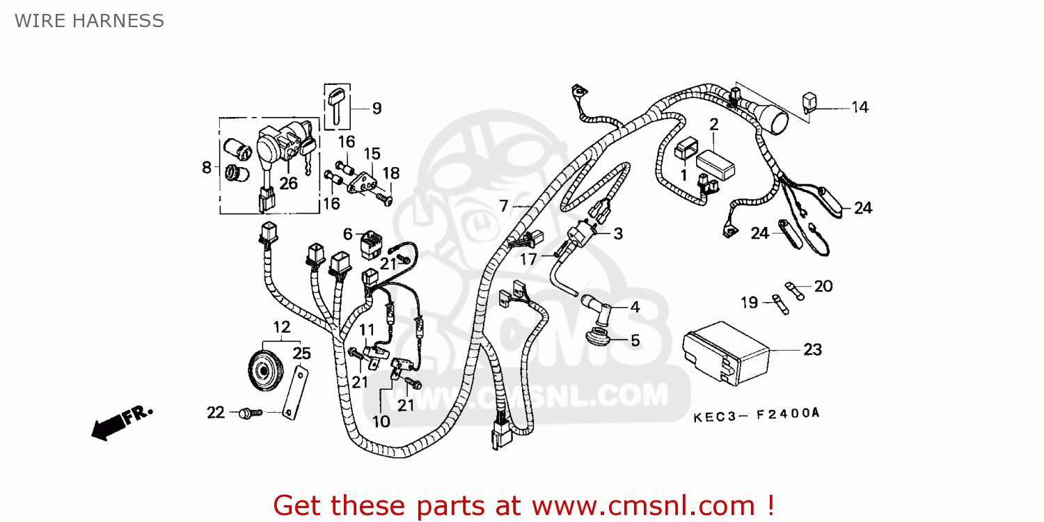 Honda SH100 SCOOPY 2000 (Y) SPAIN WIRE HARNESS - buy WIRE HARNESS