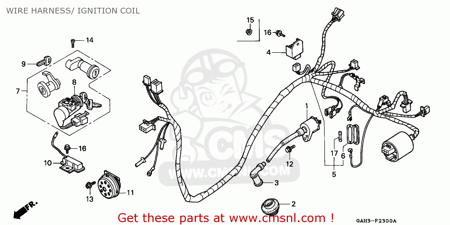 Honda Sk50m Dio 1994 R Canada Wire Harness Ignition Coil Buy Wire Harness Ignition Coil Spares Online