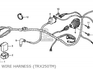 Honda TRX250TM FOURTRAX RECON 2002 (2) USA parts lists and schematics