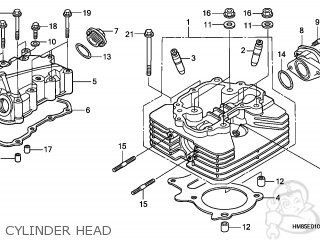 Honda TRX250TM FOURTRAX RECON 2010 (A) AUSTRALIA parts lists and schematics