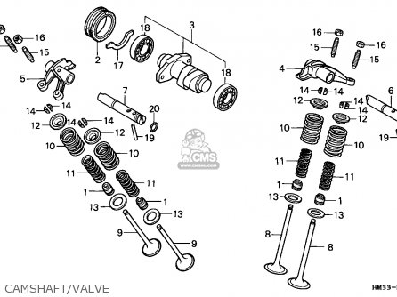 Honda TRX300EX FOURTRAX 1996 (T) CANADA parts lists and schematics