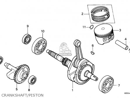 TRX300EX Timing Set Honda ATV Camshaft Timing Chain & Guide Kit - Fits TRX300EX, TRX300X, TRX300 1988-2008 14620-hc4-005 Replacement - Foto 5