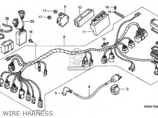 Honda TRX350FE FOURTRAX 2000 (Y) USA parts lists and schematics