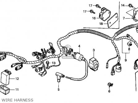 Honda TRX400FW 1998 (W) USA parts lists and schematics