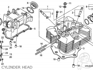 Honda TRX500FM FOURTRAX FOREMAN 2008 (8) AUSTRALIA parts lists and ...