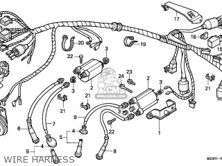 Honda VT600C SHADOW 1997 (V) GERMANY parts lists and schematics