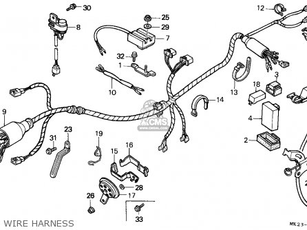 Honda XR600R 1985 (F) AUSTRALIA parts lists and schematics