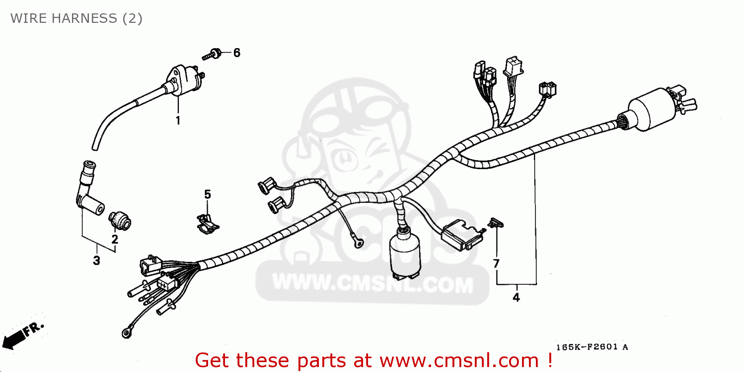 Honda Z50J MONKEY 1992 (N) GENERAL EXPORT KPH CSW WIRE HARNESS (2