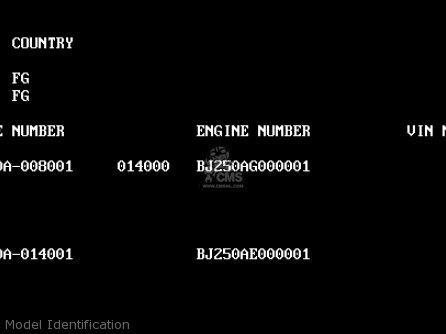 Model Identification - BJ250A2 ESTRELLA 1994 FG