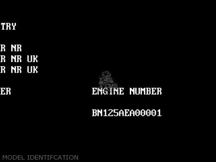 MODEL IDENTIFCATION - BN125A3 ELIMINATOR 2000 EUROPE UK FR NR