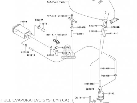 FUEL EVAPORATIVE SYSTEM (CA) - BN125A5 ELIMINATOR 2002 USA CALIFORNIA CANADA