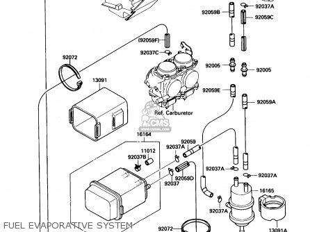 FUEL EVAPORATIVE SYSTEM - EL250B3 ELIMINATOR 1989 USA CALIFORNIA
