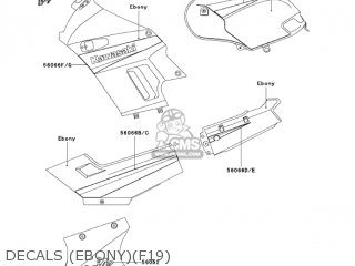 DECALS (EBONY)(F19) - EX250F19 NINJA 250R 2005 USA CALIFORNIA