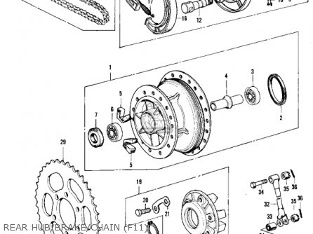 REAR HUB/BRAKE/CHAIN (F11) - F11 1973 USA