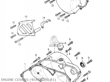 ENGINE COVERS ('81KDX250-B1) - KDX250-B1 KDX250 1981 USA CALIFORNIA CANADA