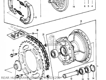 REAR HUB/BRAKE/CHAIN ('81KDX250- - KDX250-B2 KDX250 1982 USA CALIFORNIA CANADA