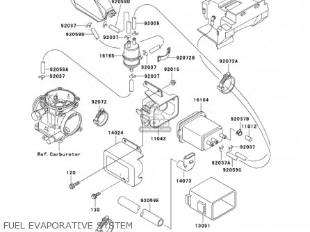 FUEL EVAPORATIVE SYSTEM - KL250D19 KLR250 2002 USA CALIFORNIA