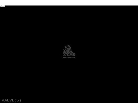 VALVE(S) - KLX300B2 KLX300R 1998 EUROPE