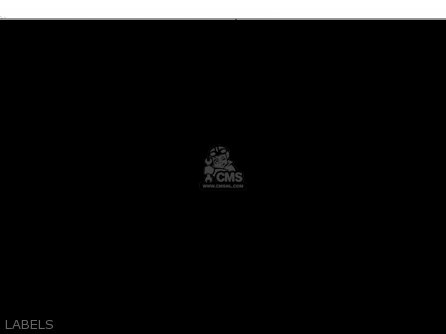 LABELS - KLX300B2 KLX300R 1998 EUROPE