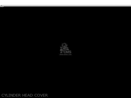 CYLINDER HEAD COVER - KLX300B3 KLX300R 1999 EUROPE