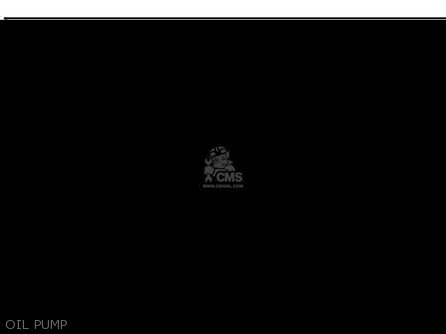 OIL PUMP - KLX300B3 KLX300R 1999 EUROPE