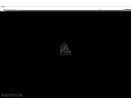 RADIATOR - KLX300B3 KLX300R 1999 EUROPE