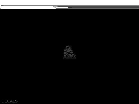 DECALS - KLX300B3 KLX300R 1999 EUROPE