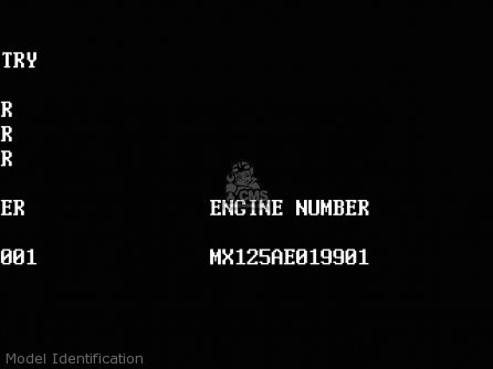 Model Identification - KMX125-A11 1998 EUROPE GR