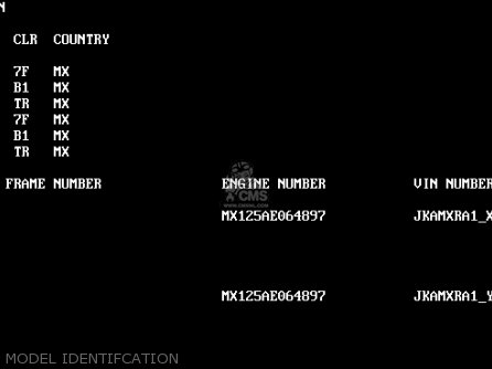 MODEL IDENTIFCATION - KMX125-A13 2000 MEXICO
