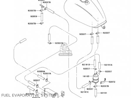 FUEL EVAPORATIVE SYSTEM - VN1500G1A 1999 USA CALIFORNIA CANADA