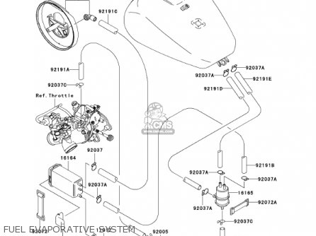 FUEL EVAPORATIVE SYSTEM - VN1500N3 VULCAN 1500 CLASSIC FI 2002 USA CALIFORNIA CANADA