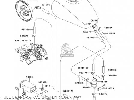 FUEL EVAPORATIVE SYSTEM (CA) - VN1500P1 VULCAN 1500 MEANSTREAK 2002 USA CALIFORNIA CANADA