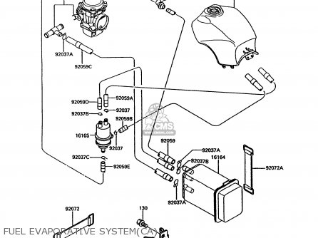 FUEL EVAPORATIVE SYSTEM(CA) - ZG1000A9 CONCOURS 1994 USA CALIFORNIA CANADA