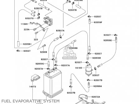 FUEL EVAPORATIVE SYSTEM - ZG1200B15 VOYAGER XII 2001 USA CALIFORNIA CANADA