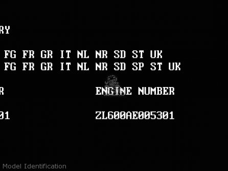Model Identification - ZL600B1 ELIMINATOR 600 1995 EU UK FR NL AR FG GR IT NR SD SP ST