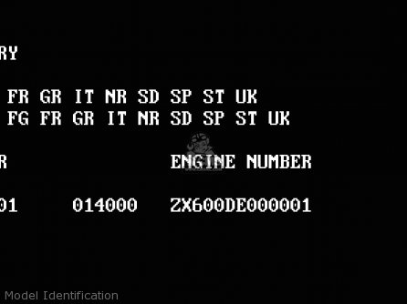 Model Identification - ZX600D1 ZZR600 1990 EUROPE UK FR AR FG GR IT NR SD SP ST
