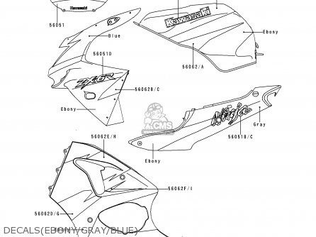 DECALS(EBONY/GRAY/BLUE) - ZX600G1 NINJA ZX6R 1998 EUROPE UK FR NL AR FG GR IT NR SD SP